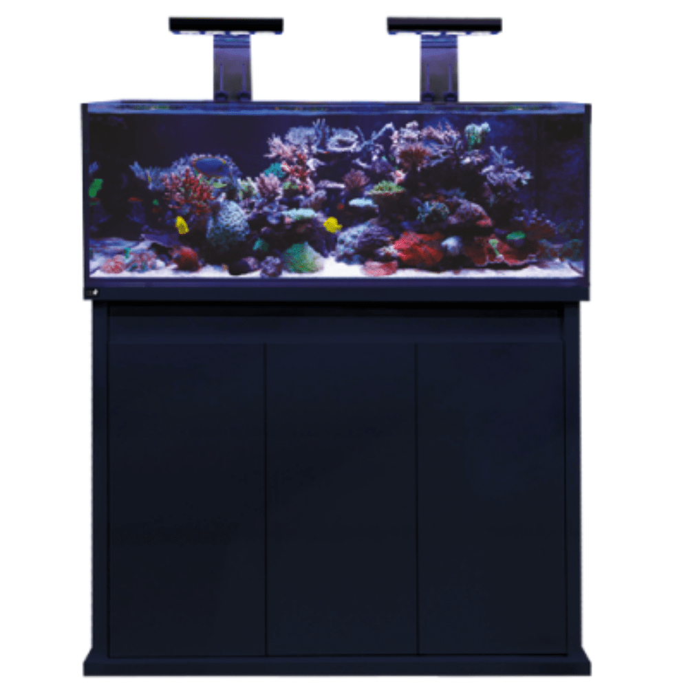 D - D Reef - Pro 1200 Aquarium - Clarisea Ready Sump - Perfect Aquatics Ltd