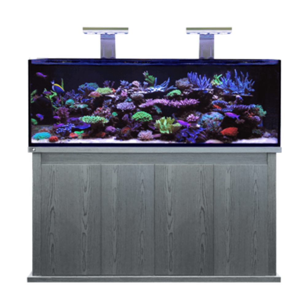 D - D Reef - Pro 1500S Aquarium - Clarisea Ready Sump - Perfect Aquatics Ltd