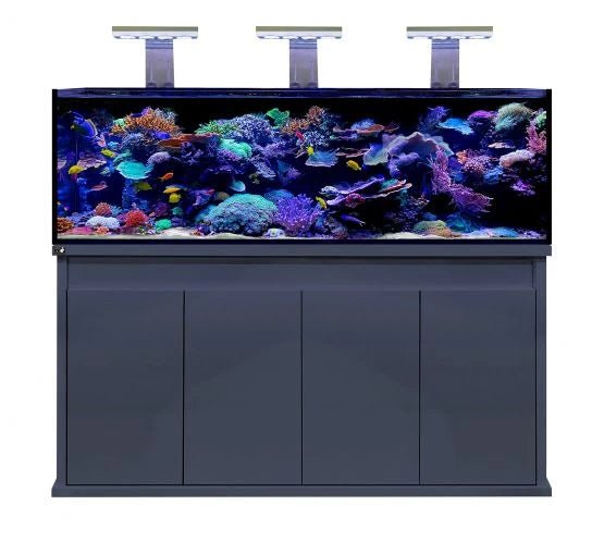 D - D Reef - Pro 1800 Deluxe - Clarisea Sump - Perfect Aquatics Ltd