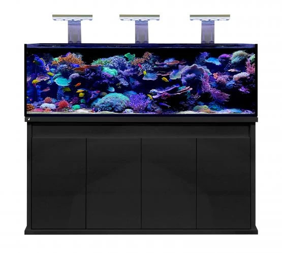 D-D Reef-Pro 1800 Deluxe - Clarisea Sump