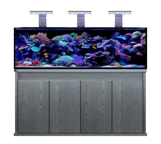 D - D Reef - Pro 1800 Aquarium - Clarisea Ready Sump - Perfect Aquatics Ltd