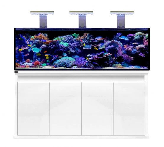 D-D Reef-Pro 1800 Deluxe - Clarisea Sump