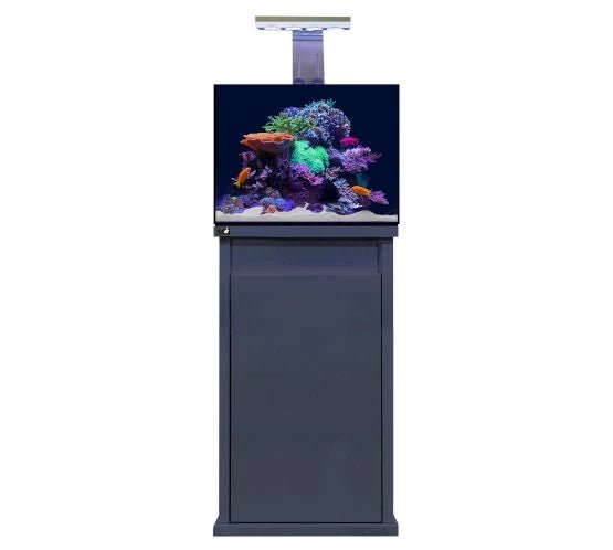 D - D Reef - Pro 600 Deluxe - Clarisea Sump - Perfect Aquatics Ltd