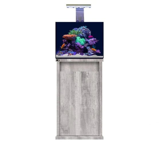 D - D Reef - Pro 600 Deluxe - Clarisea Sump - Perfect Aquatics Ltd