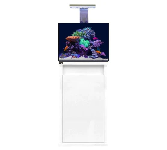 D-D Reef-Pro 600 Deluxe - Clarisea Sump