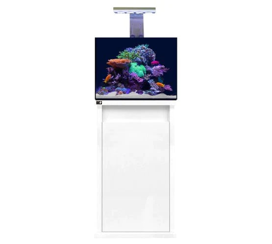 D-D Reef-Pro 600 Deluxe  - Clarisea Sump