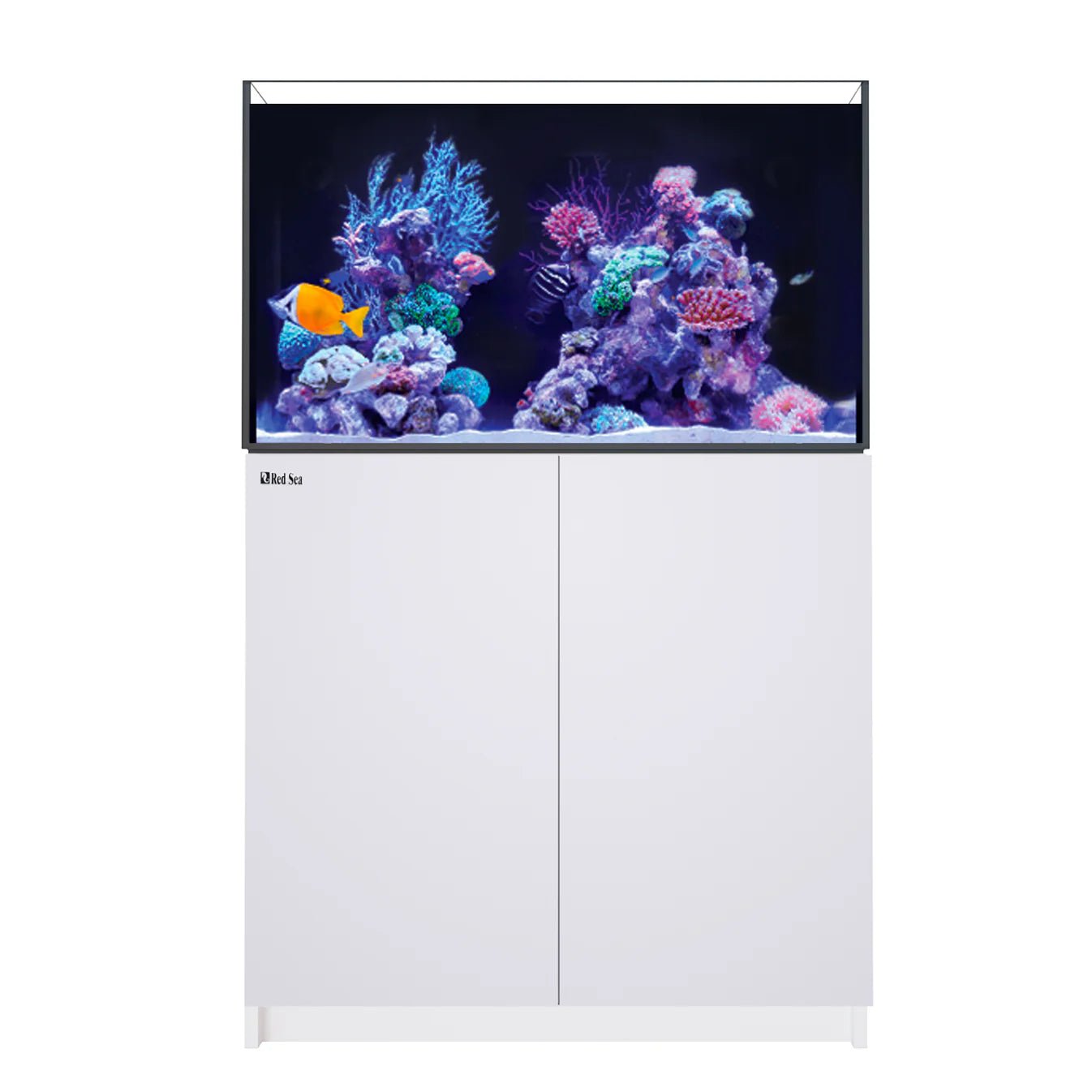 Red Sea Reefer G3 250 Aquarium - Perfect Aquatics Ltd