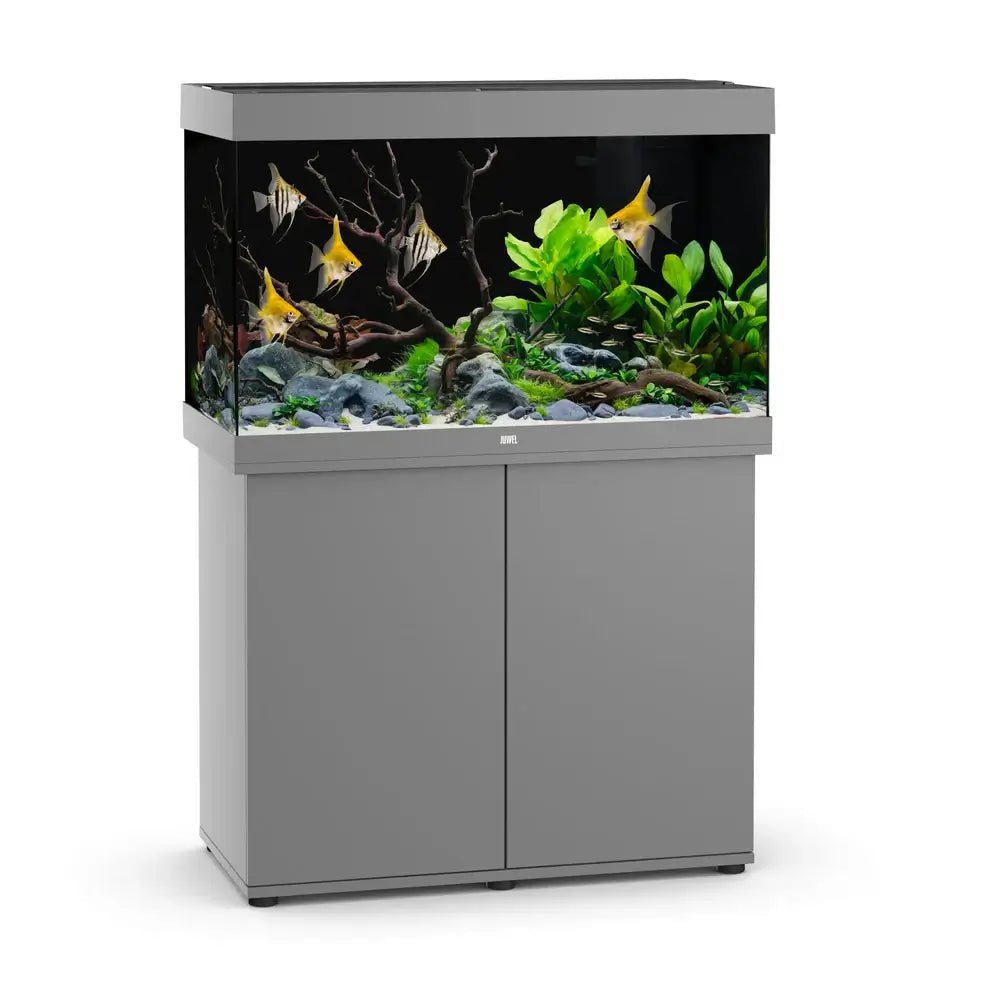 Juwel Rio 290 LED Aquarium and Cabinet - Perfect Aquatics Ltd