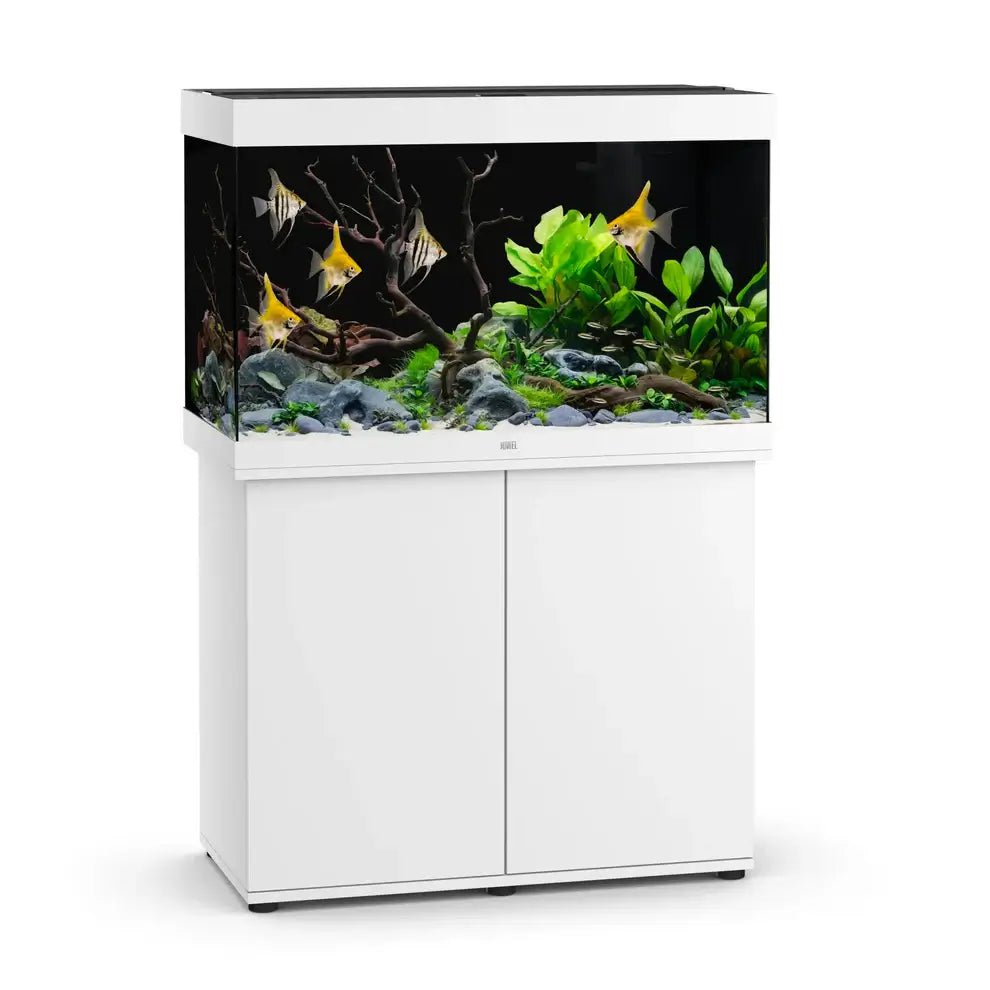 Juwel Rio 290 LED Aquarium and Cabinet - Perfect Aquatics Ltd