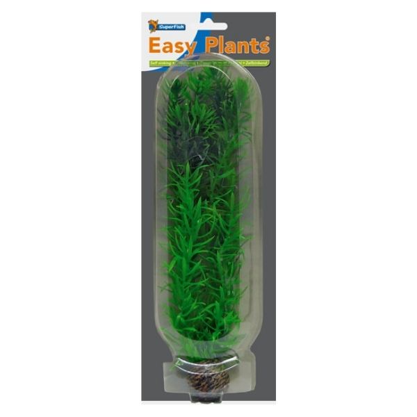 SuperFish High Aquarium Easy Plant 30cm - Perfect Aquatics Ltd