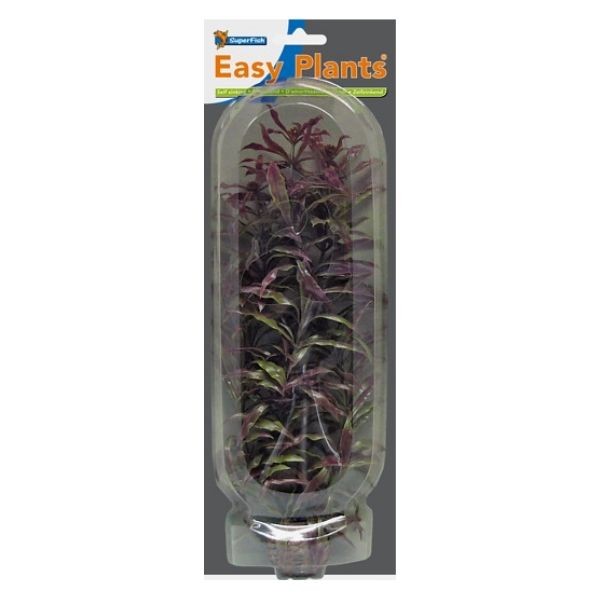 SuperFish High Aquarium Easy Plant 30cm - Perfect Aquatics Ltd