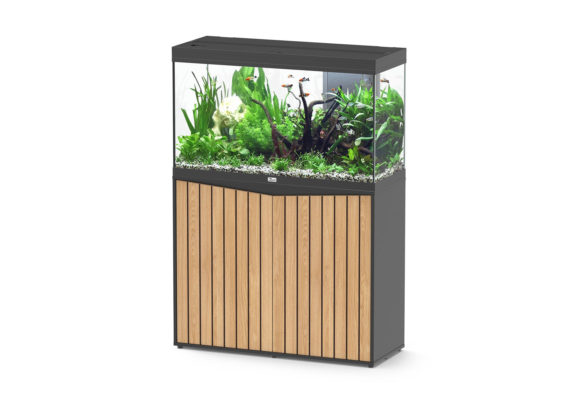 Aquatlantis Splendid Ultra 100 - Perfect Aquatics Ltd