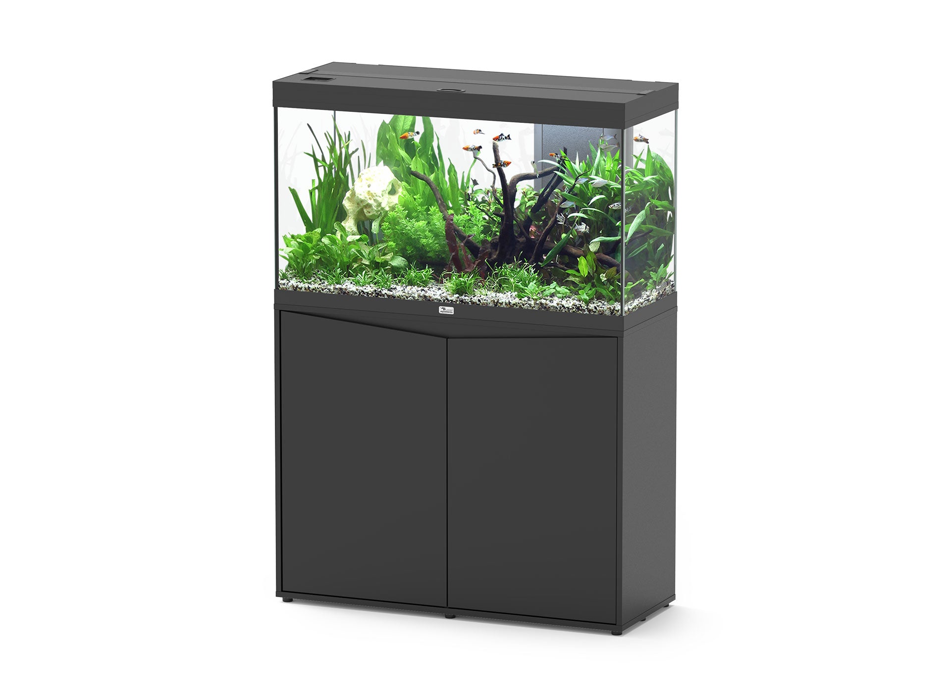 Aquatlantis Splendid Ultra 100 - Perfect Aquatics Ltd