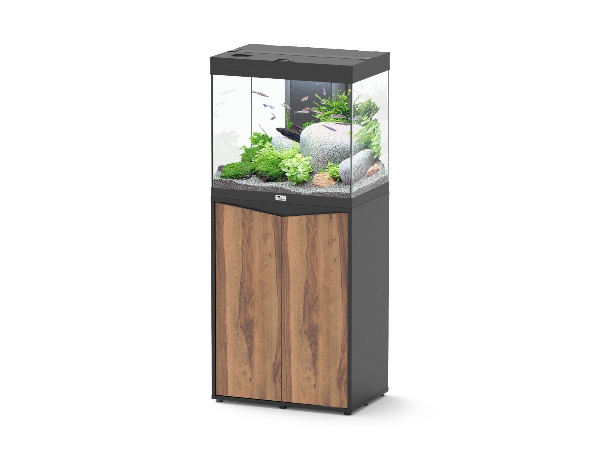 Aquatlantis Splendid Ultra 60 - Perfect Aquatics Ltd