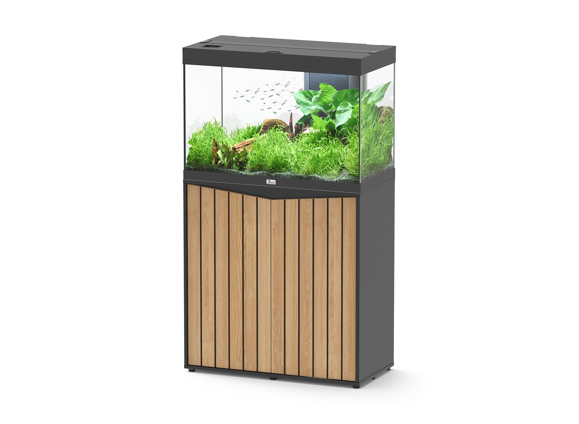Aquatlantis Splendid Ultra 80 - Perfect Aquatics Ltd