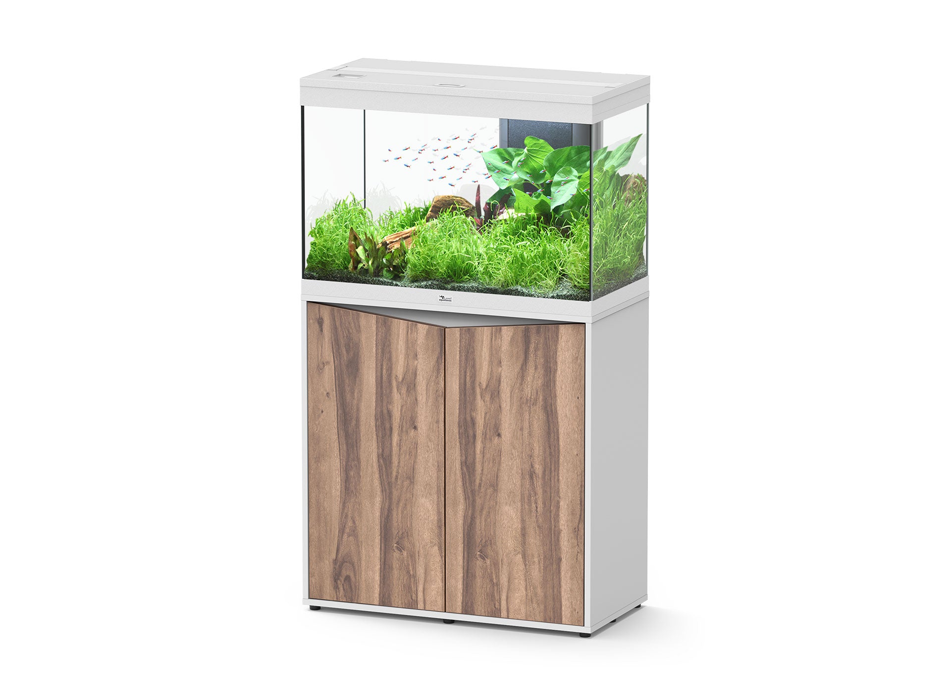 Aquatlantis Splendid Ultra 80 - Perfect Aquatics Ltd