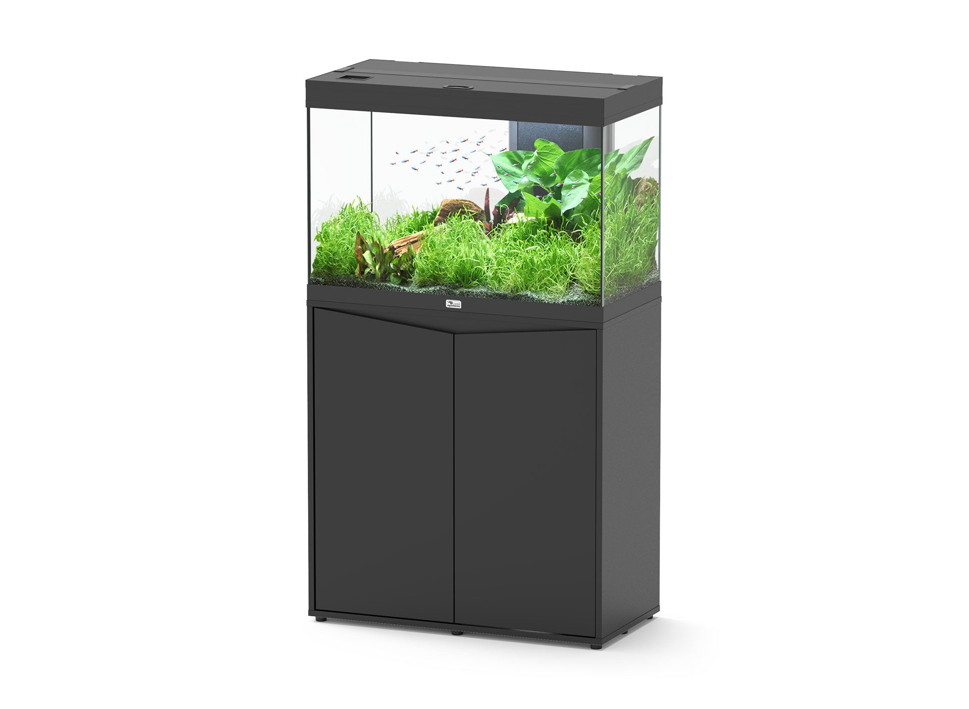 Aquatlantis Splendid Ultra 80 - Perfect Aquatics Ltd