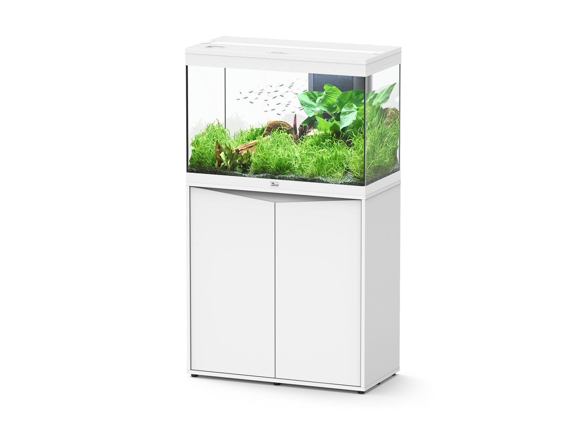 Aquatlantis Splendid Ultra 80 - Perfect Aquatics Ltd