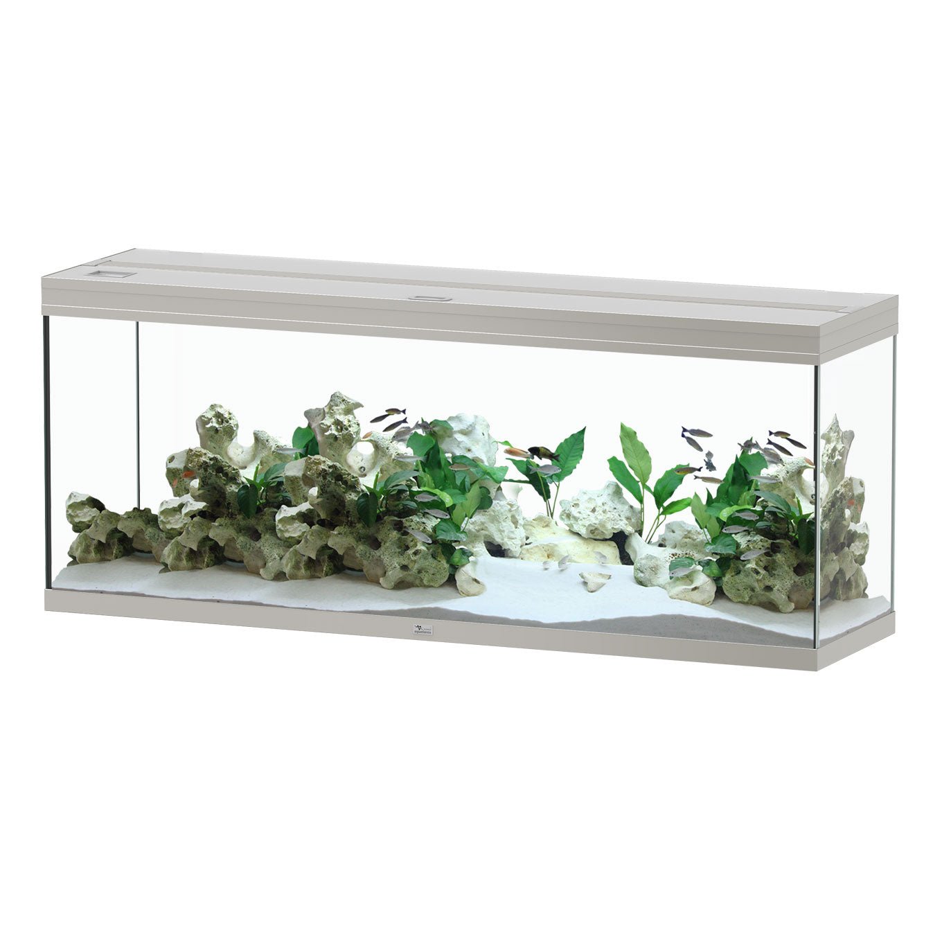 Aquatlantis Splendid Ultra 150 - Perfect Aquatics Ltd