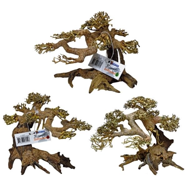 SuperFish Bonsai Driftwood - Per Piece - Perfect Aquatics Ltd