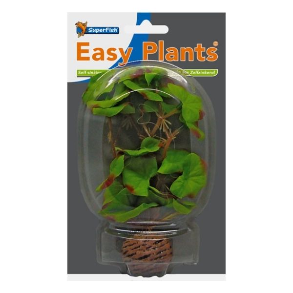 SuperFish Low Aquarium Easy Plant 13cm - Perfect Aquatics Ltd