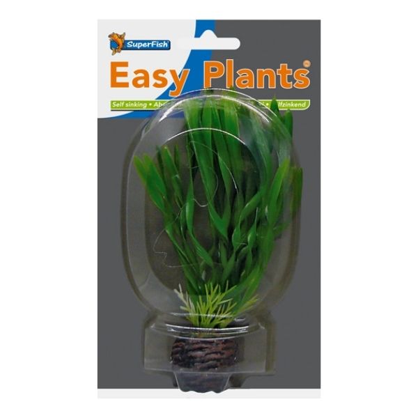 SuperFish Low Aquarium Easy Plant 13cm - Perfect Aquatics Ltd