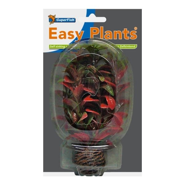 SuperFish Low Aquarium Easy Plant 13cm - Perfect Aquatics Ltd
