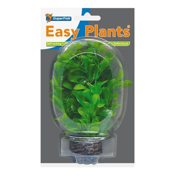 SuperFish Low Aquarium Easy Plant 13cm - Perfect Aquatics Ltd