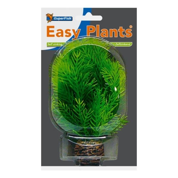 SuperFish Low Aquarium Easy Plant 13cm - Perfect Aquatics Ltd