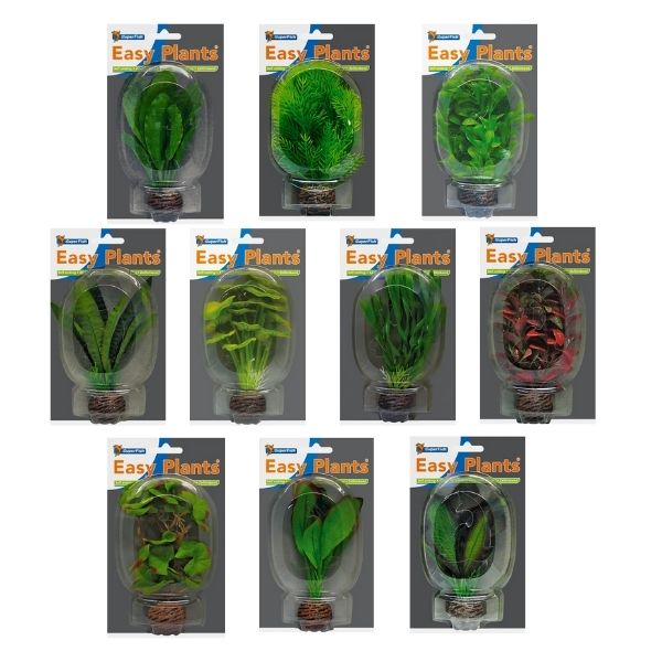SuperFish Low Aquarium Easy Plant 13cm - Perfect Aquatics Ltd