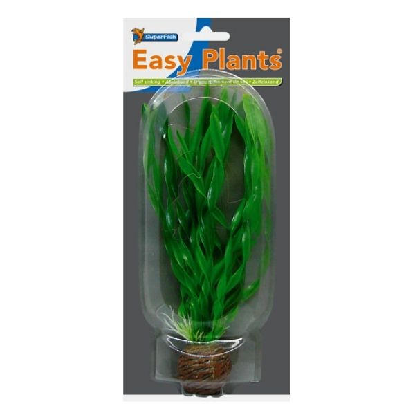 SuperFish Middle Aquarium Easy Plant 20cm - Perfect Aquatics Ltd