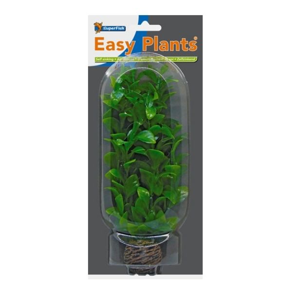 SuperFish Middle Aquarium Easy Plant 20cm - Perfect Aquatics Ltd