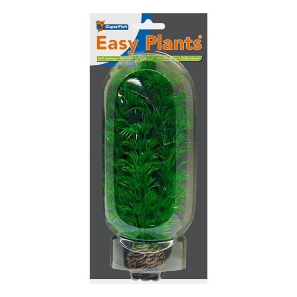 SuperFish Middle Aquarium Easy Plant 20cm - Perfect Aquatics Ltd