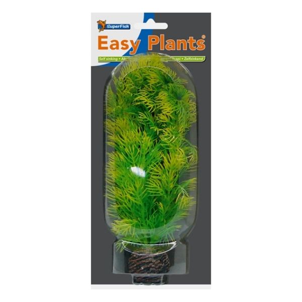 SuperFish Middle Aquarium Easy Plant 20cm - Perfect Aquatics Ltd