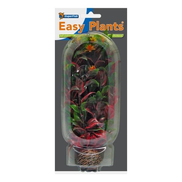 SuperFish Middle Aquarium Easy Plant 20cm - Perfect Aquatics Ltd
