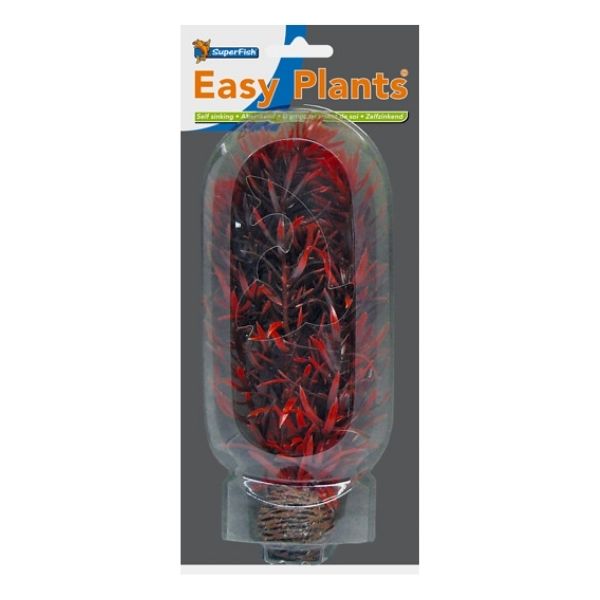 SuperFish Middle Aquarium Easy Plant 20cm - Perfect Aquatics Ltd