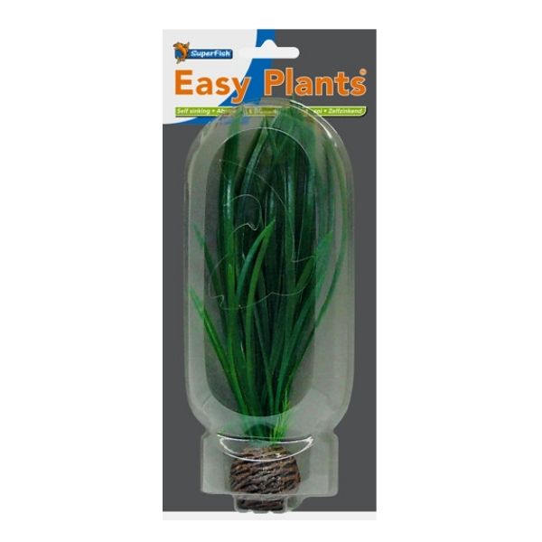 SuperFish Middle Aquarium Easy Plant 20cm - Perfect Aquatics Ltd