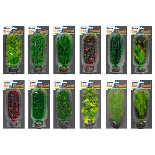 SuperFish Middle Aquarium Easy Plant 20cm - Perfect Aquatics Ltd