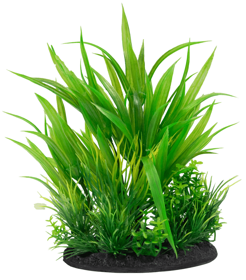 SuperFish Deco Plant Small - Perfect Aquatics Ltd
