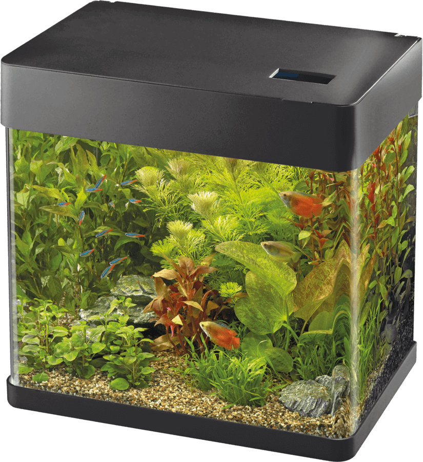 Superfish Panorama Aquarium - Perfect Aquatics Ltd
