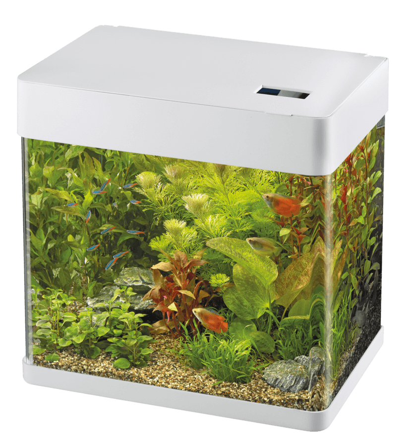 Superfish Panorama Aquarium - Perfect Aquatics Ltd