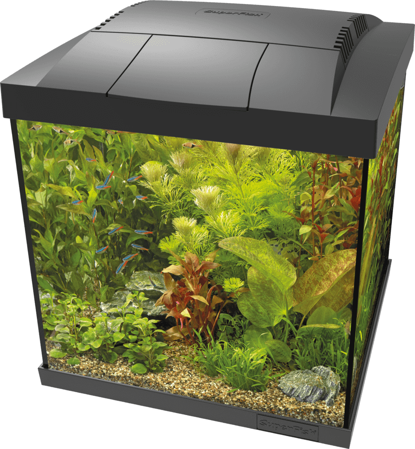 SuperFish Start Qube Kits - Perfect Aquatics Ltd