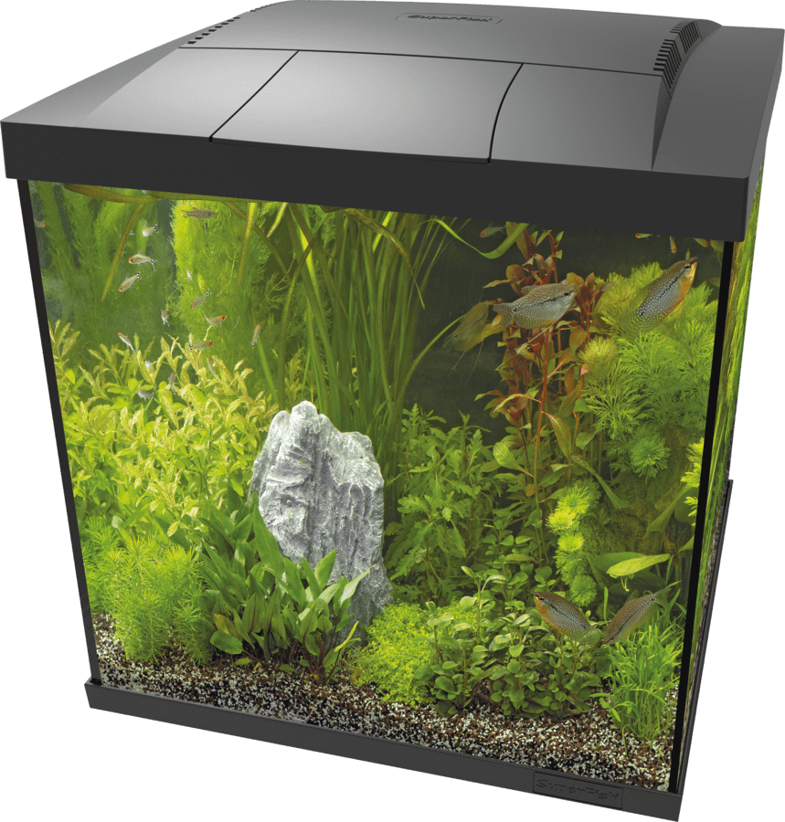 SuperFish Start Qube Kits - Perfect Aquatics Ltd