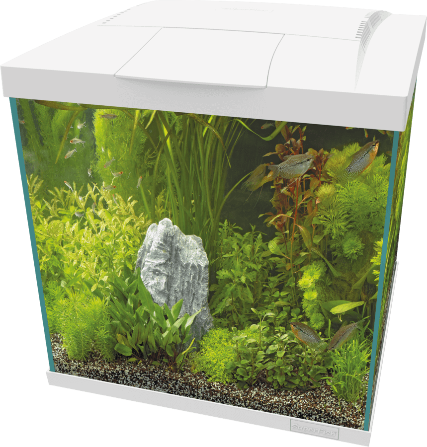 SuperFish Start Qube Kits - Perfect Aquatics Ltd