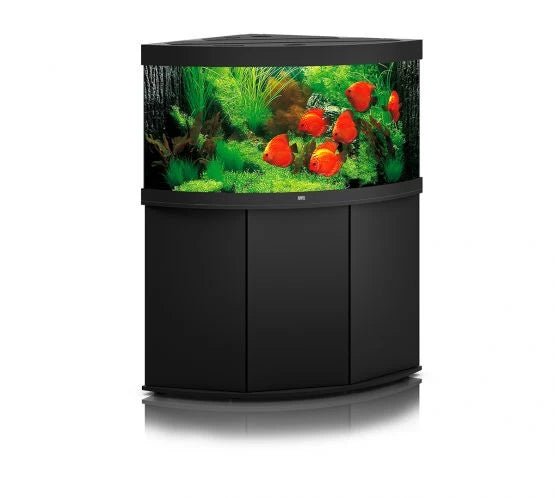 Juwel Trigon 350 LED Aquarium and Cabinet - Perfect Aquatics Ltd