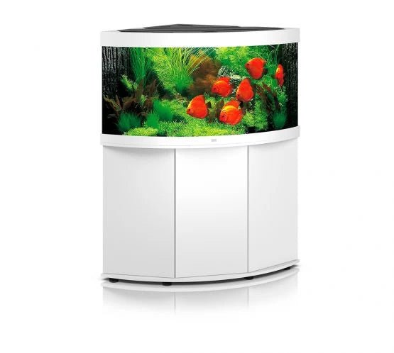 Juwel Trigon 350 LED Aquarium and Cabinet - Perfect Aquatics Ltd