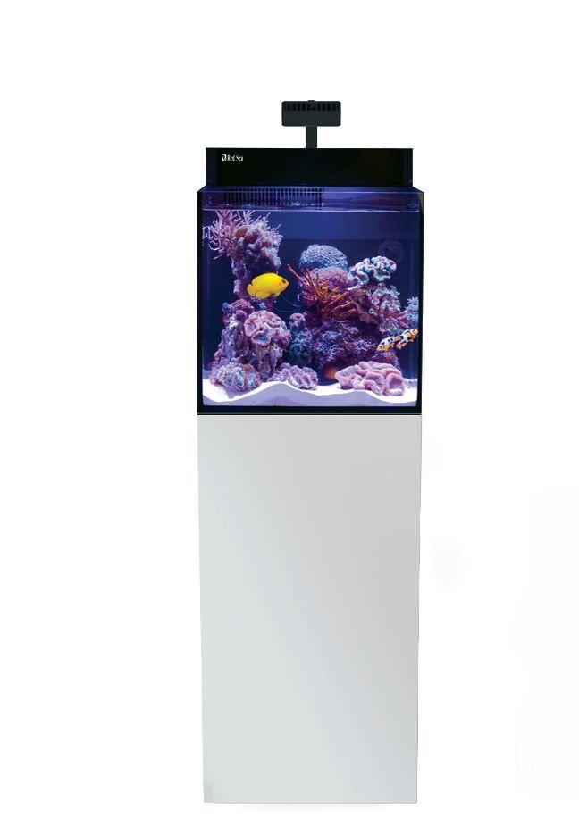 Red Sea MAX Nano G2 Cube White- Perfect Aquatics Ltd