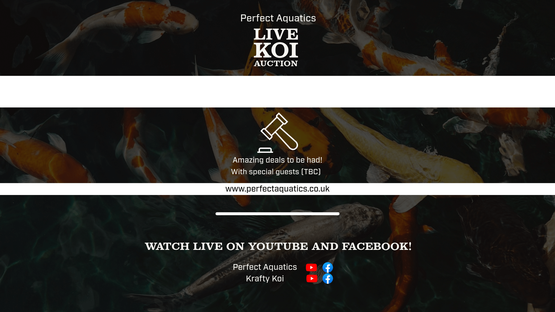 Perfect Aquatics LIVE Koi Auction #5 - Perfect Aquatics Ltd