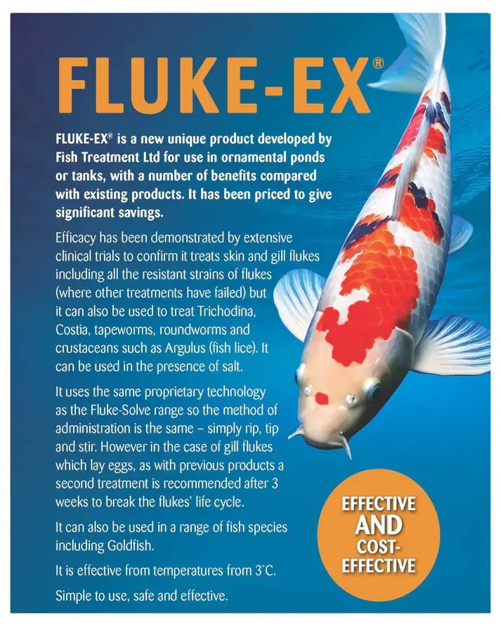 Fluke - Ex - Perfect Aquatics Ltd