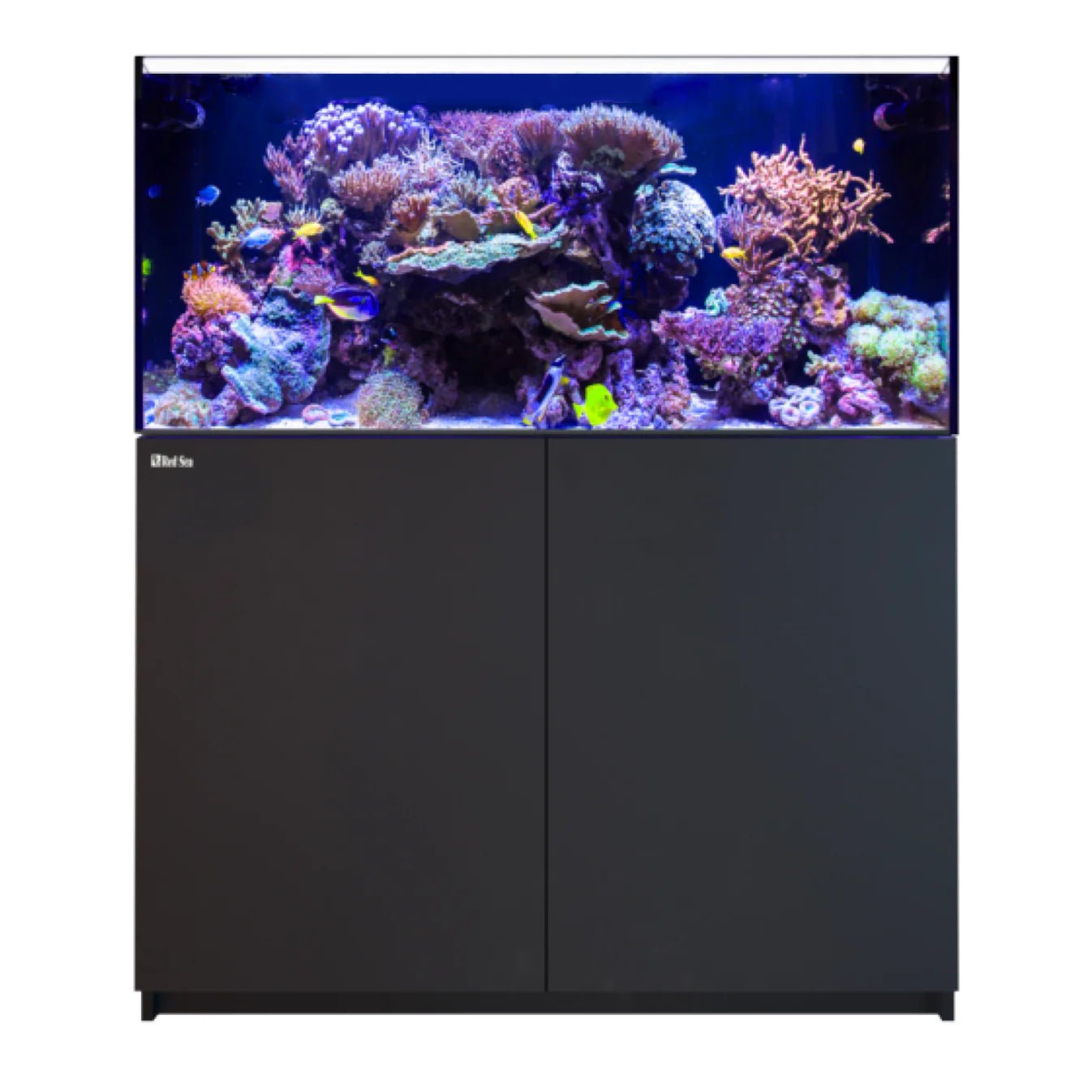 Red Sea Reefer G3 425 Aquarium - Perfect Aquatics Ltd